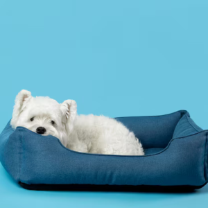 Cozy Canine
