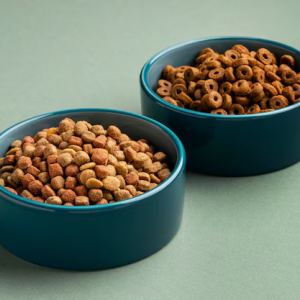 Woof Bowl